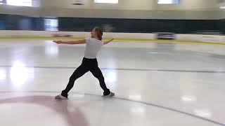 Fleurie, I Never Wanted skated by Christa Johns