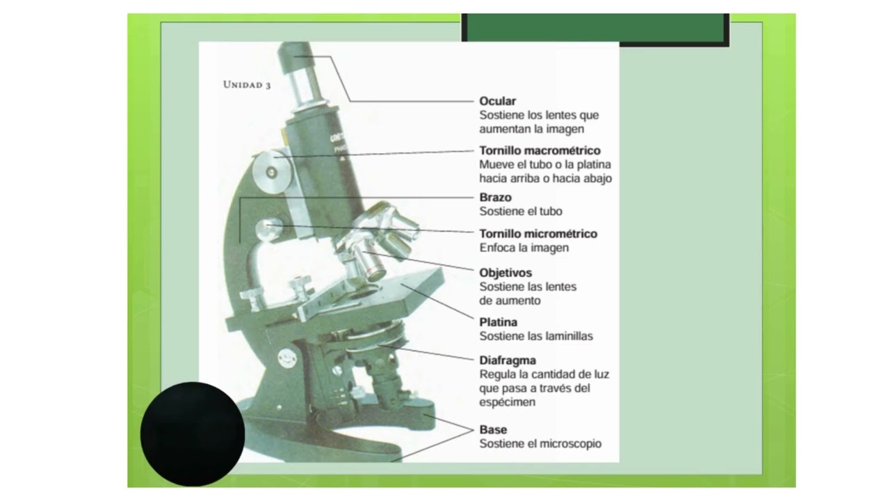Facultad 2025. Especialidad Biología. Parte 1
