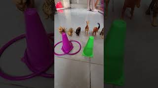 Zoo animals #toys