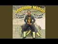 Sedi Laka