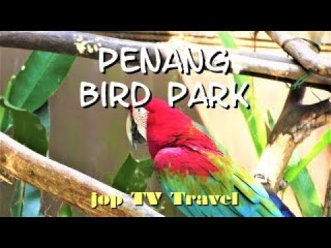 Visit the Penang Bird Park in Perai (Isle Penang) Malaysia jop TV Travel
