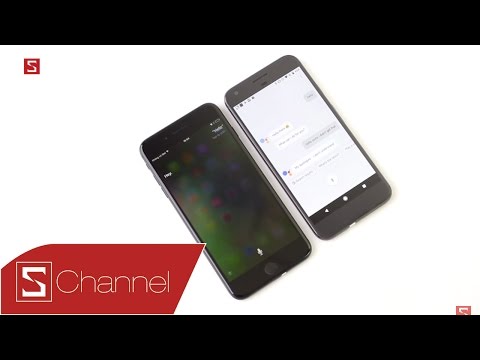 hotel-inquiry-cross-questioning-1-compressed