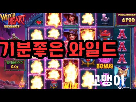 [슬롯][제보영상][닉네임:꼬맹이]마녀심장 528배