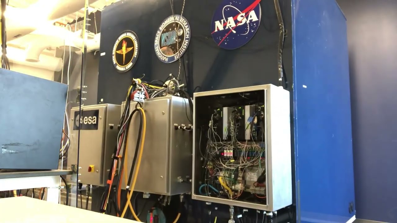 Wave-Like Motion - YouTube