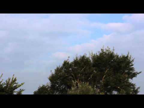 NATO Jets and the Red Arrows Newport
