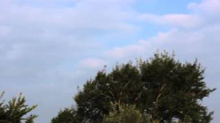 NATO Jets and the Red Arrows Newport