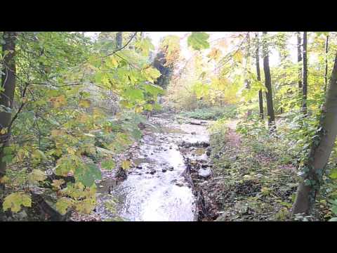 KAALHEIDE ERENSTEIN HAMBOS