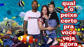 qual   o PEIXE COLORIDO certo pra vc veja agora