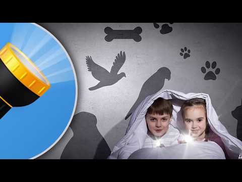 Amazing Flashlight Video