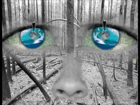 Ectogasmics and Antagon - Degradation