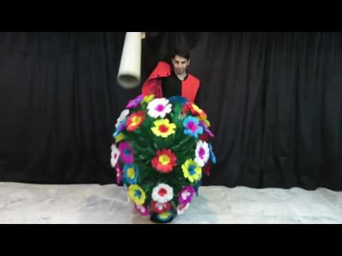 The Biggest Botania in the world  by Tora Magic (55 Blooms)