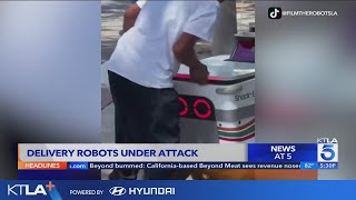 Food delivery robots under attack from vandals, thieves