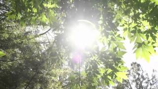 Mike Pinder -The Balance - New clip