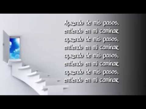 Julieta Venegas -  De mis pasos CON LETRA