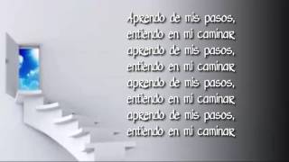 Julieta Venegas -  De mis pasos CON LETRA
