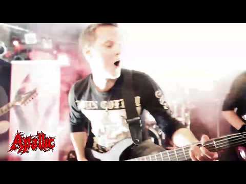 Apallic - Deranged (Official Live Video)