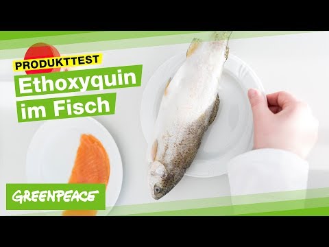 Greenpeace findet verbotenes Pflanzenschutzmittel in Fischprodukten
