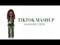 Tiktok Mashup November 2024 NOT CLEAN