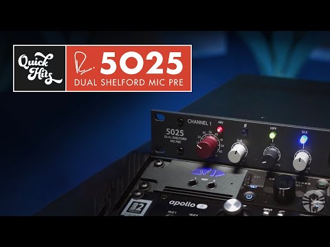 Rupert Neve Designs 5025 Dual Shelford Microphone Preamp image 5