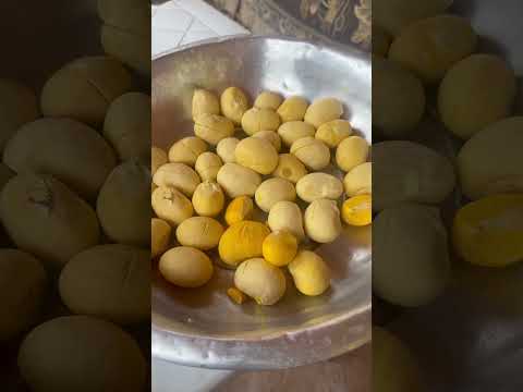 Pequi do Cerrado Tocantinense - Almas - To