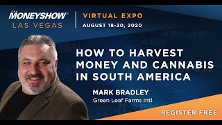 How to Harvest Money and Cannabis in South America