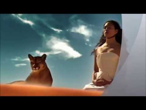 Amr Diab - Tamally Maak