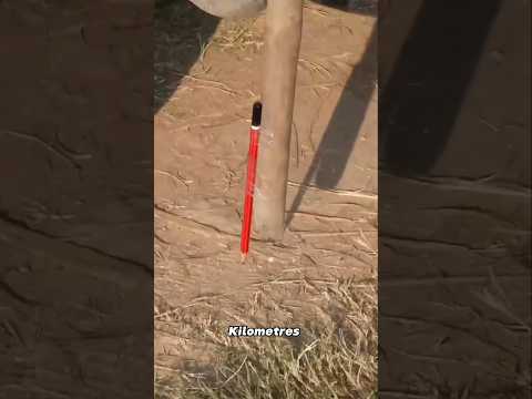 How many kilometers can a pencil last ?