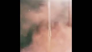 Download lagu Police Brazil Status - Amalee - Red Fraction (Black Lagoon Cover) mp3