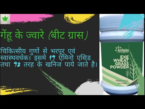 Asclepius exe wheat grass powder, packaging size: 100gm