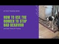 How to use the bonker to stop bad dog behavior