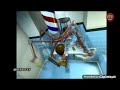 Berleezy Roasted Jimmy Neutron