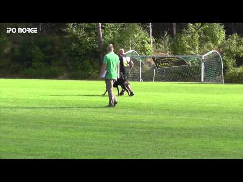 FCI NM IPO 2014 Ingar Andersen - Dinico Yack del Conte Drago - B