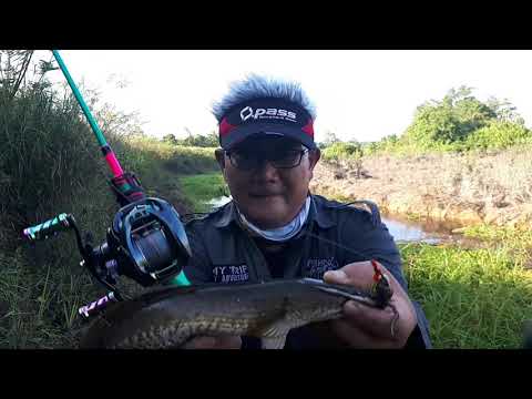 SPOT KANAL SEMAKIN SURUT, BALAPAN DNGN STOMER. Part 168