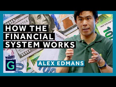 How the Financial System Works