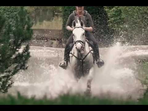 Jennifer Hershman I Know Why