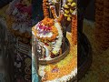 Hatkeshwar Nath Ji Mahadevwhatsappstatus Shots Mahadevtemple Aarti Cgtemple Aartidarshan