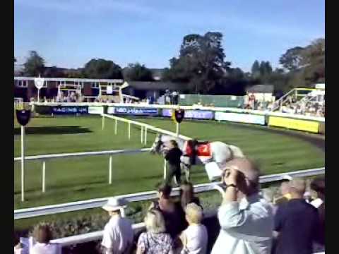 Dubai Arabian Race Day 2008