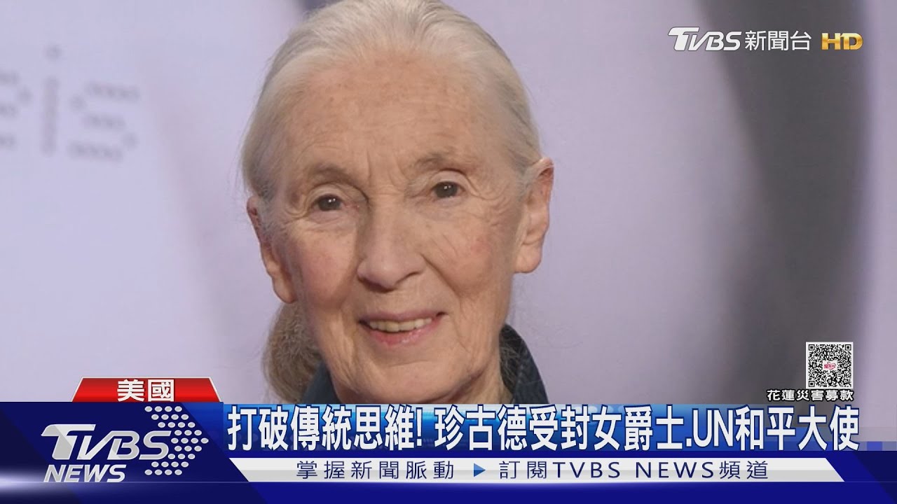 6月才訪台! 「黑猩猩之母」珍古德 享耆壽91歲