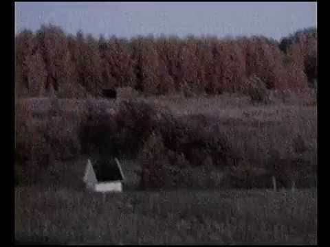 Видеокамера VC017C-PAL (ISX017-0AWR-C)