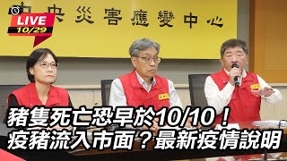 疫豬流入市面?最新疫情說明