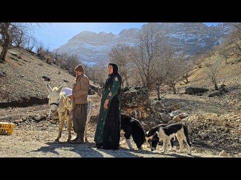 Jahangir's return to the mountain refuge: an adventurous journey on a snowy path! 🏔️❄️