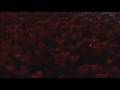 Sensation 2001 Megamix 