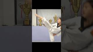 Download lagu Taekwondo Kicks - Tested in a Real Fight mp3