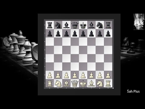 Šah i Šahovska taktika - Najvažnije Šahovske Pozicije i Ideje Ep.1