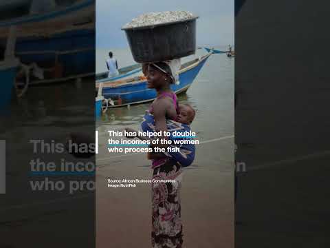 Video Thumbnail: A third of fish caught in Africa spoils before it can be eaten. Here are 3 initiatives solving this
