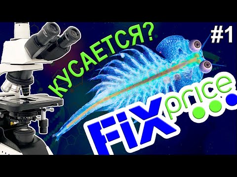 Зачем FixPrice продает это? ПИТОМЕЦ ЮРСКОГО ПЕРИОДА! #1