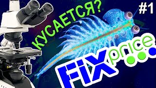 Питомец юрского периода