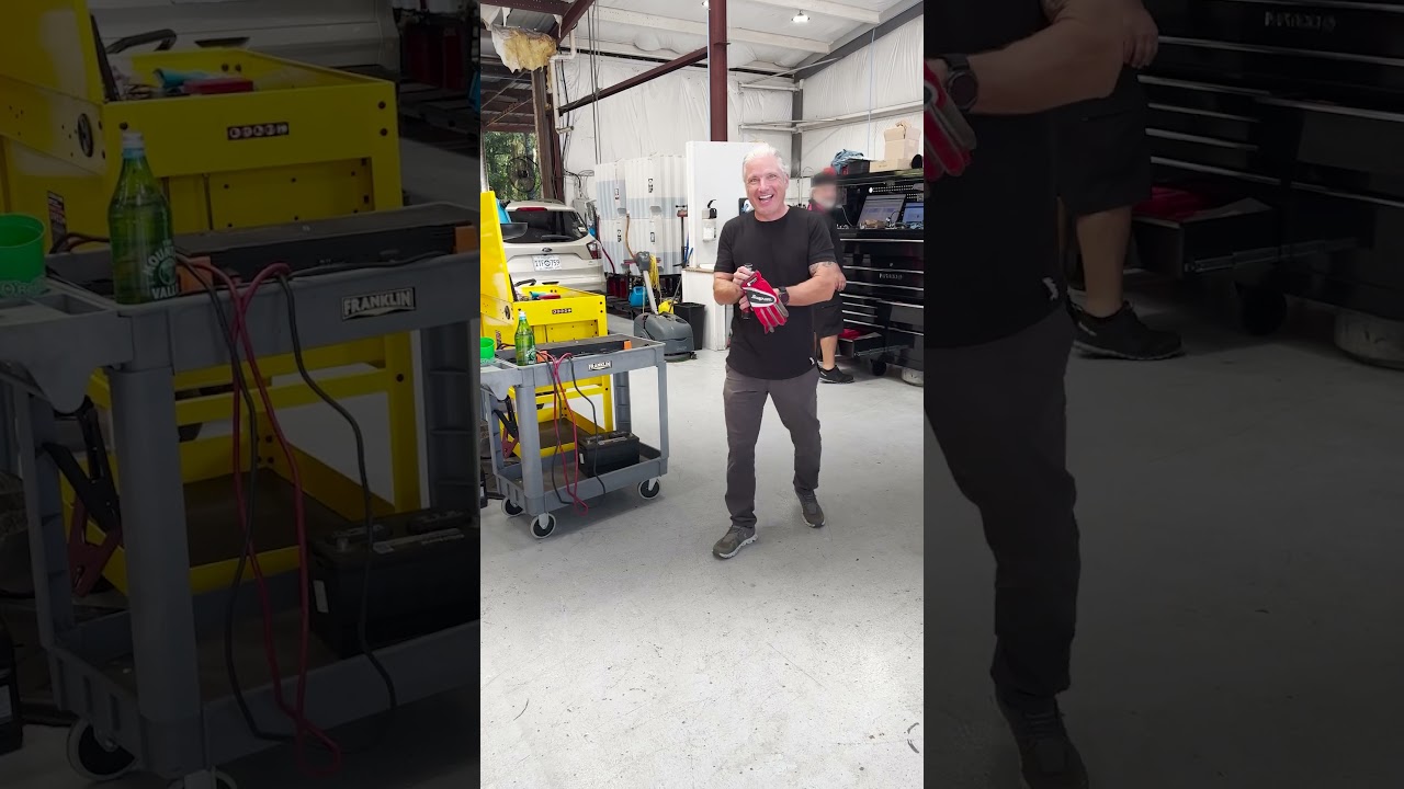 People Heard Kitten Meowing In Mercedes Engine During Test Drive | The Dodo