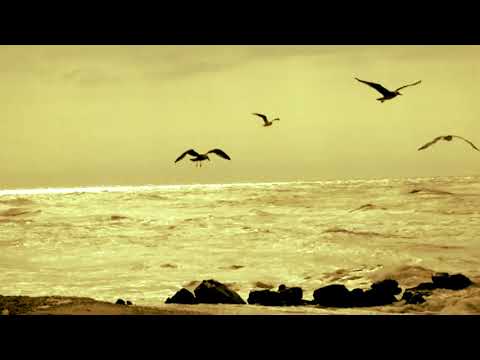 BABA SISSOKO   -  AMADRAN