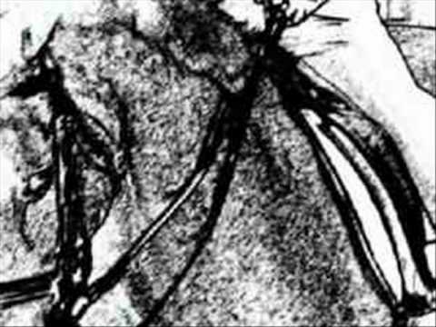 Cathedral - Robyn Hitchcock